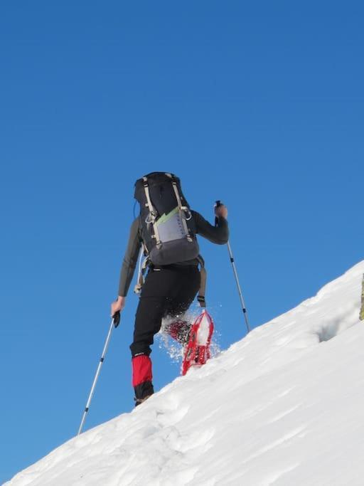 "Le Desman" Confortable T2 A La Montagne Face Aux Thermes Rando, Cure Олю-ле-Бен Экстерьер фото