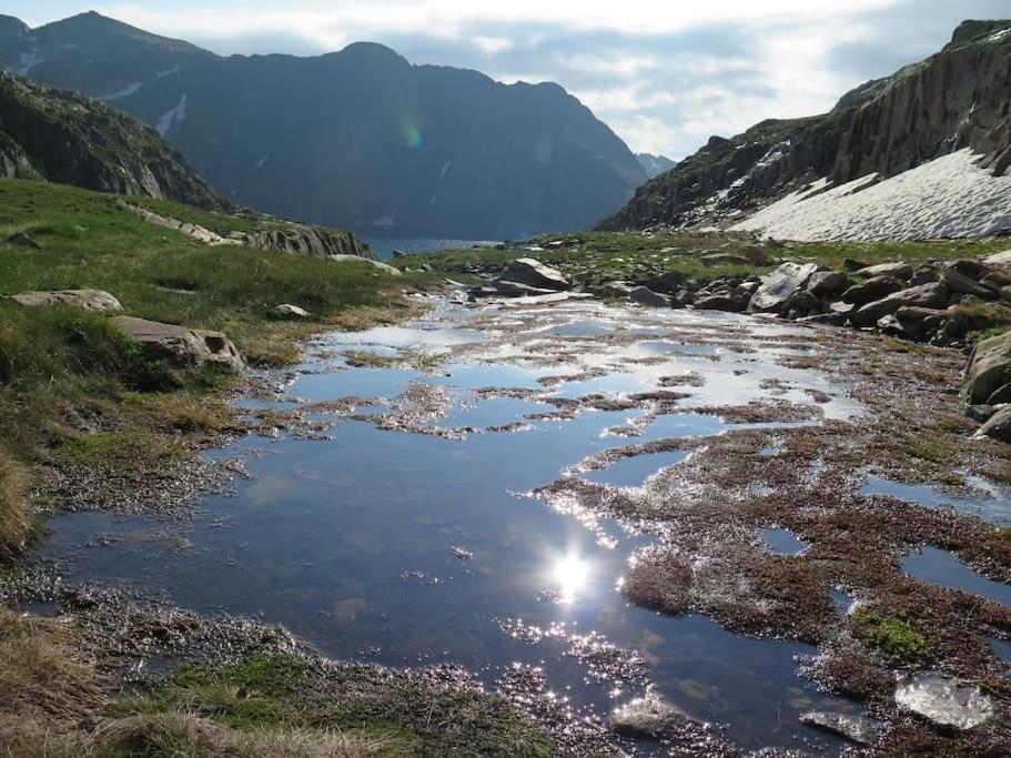 "Le Desman" Confortable T2 A La Montagne Face Aux Thermes Rando, Cure Олю-ле-Бен Экстерьер фото