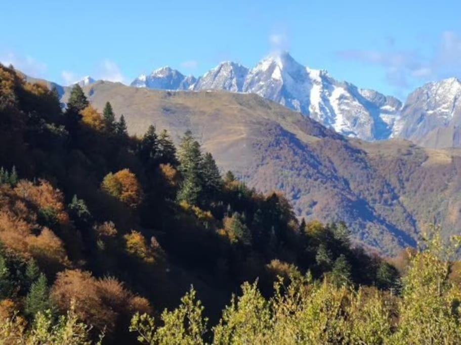 "Le Desman" Confortable T2 A La Montagne Face Aux Thermes Rando, Cure Олю-ле-Бен Экстерьер фото